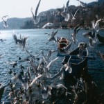 Καστοριά- Πρέσπες Με Θέα Μια Λίμνη