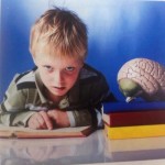 Πως λειτουργεί ο Εγκέφαλος του Παιδιού